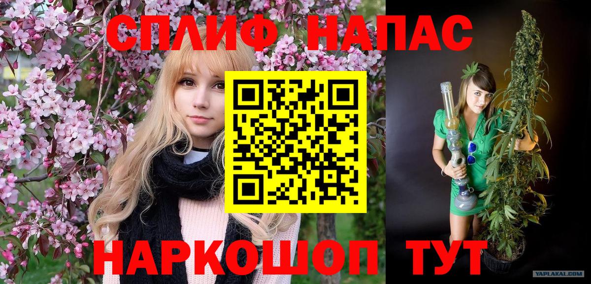 Конопля White Widow  Канабис марихуана  Аргун  Вход с VPN  Каннабис MAZAR 